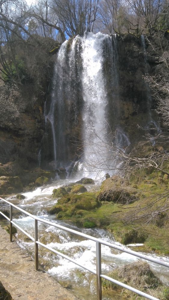 Фотография автора Danica Utjesinovic