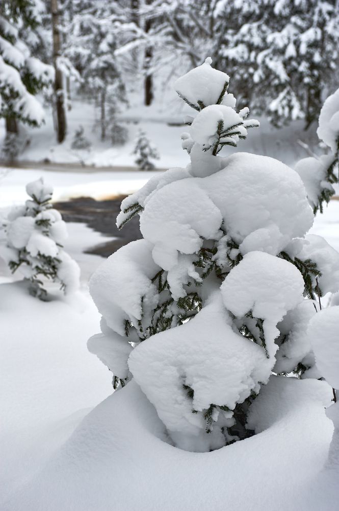 Photograph by Алексей Долженко