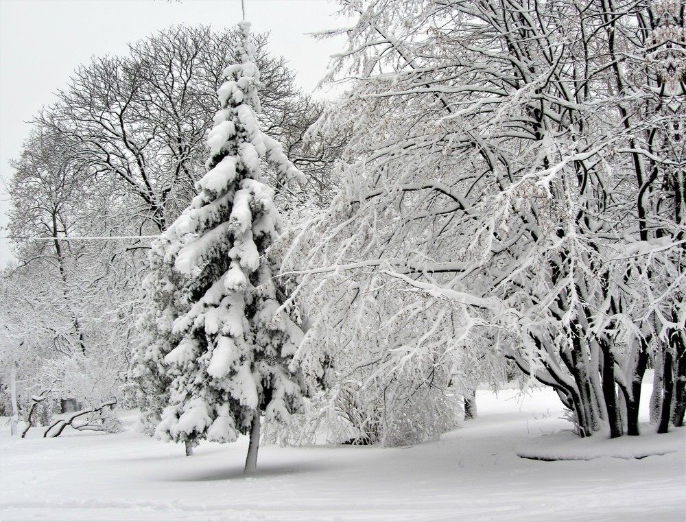 Photograph by Виктор