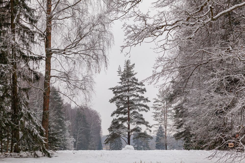 Фотография автора Анатолий Гарин