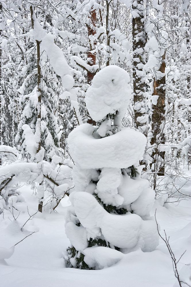 Photograph by Алексей Долженко