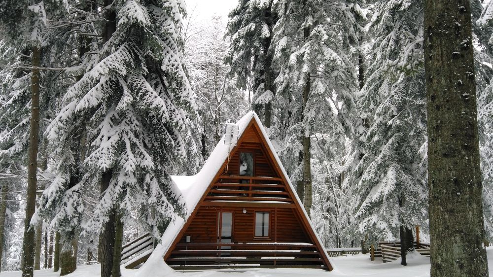 Фотография автора Danica Utjesinovic