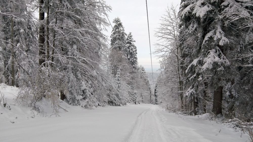 Фотография автора Danica Utjesinovic