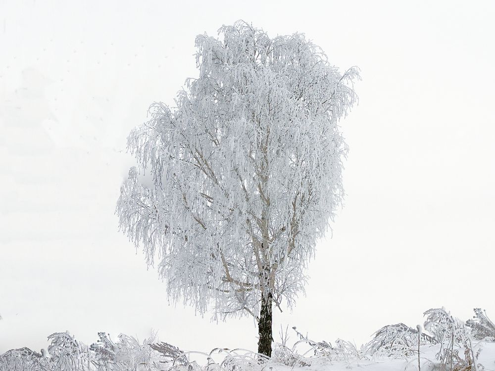 Photograph by Сергей Табатчиков