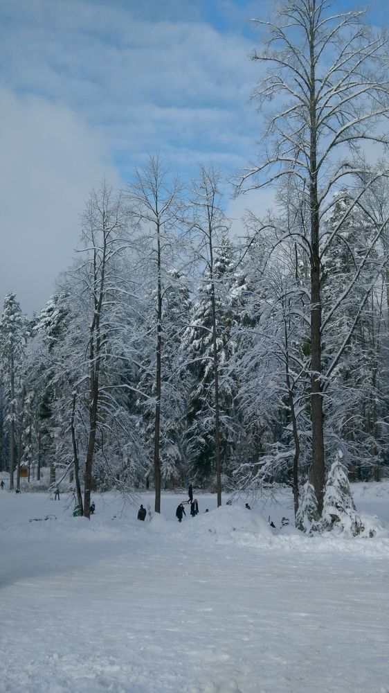 Фотография автора Danica Utjesinovic