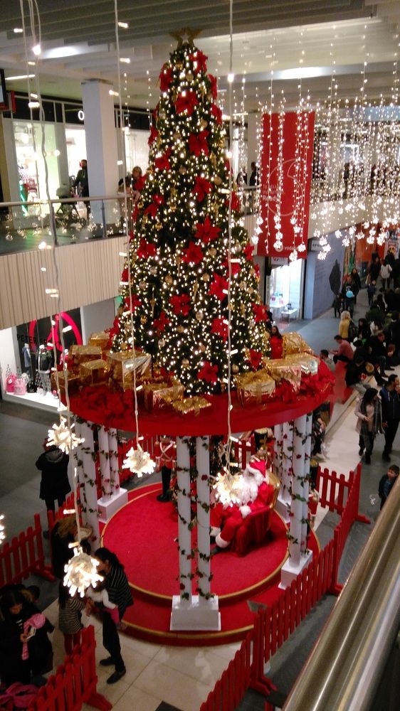 Фотография автора Danica Utjesinovic