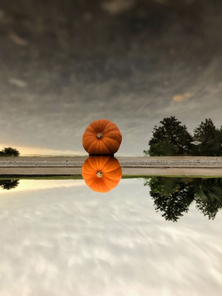 Фотография автора Makhabbat