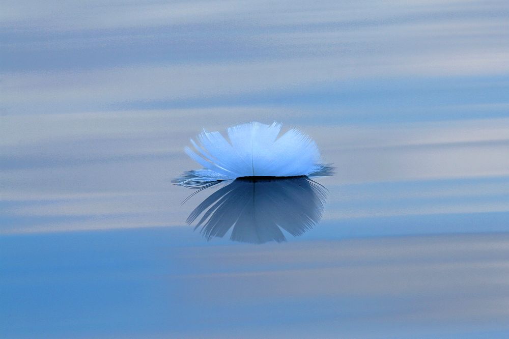 Photograph by Алик Хасанов