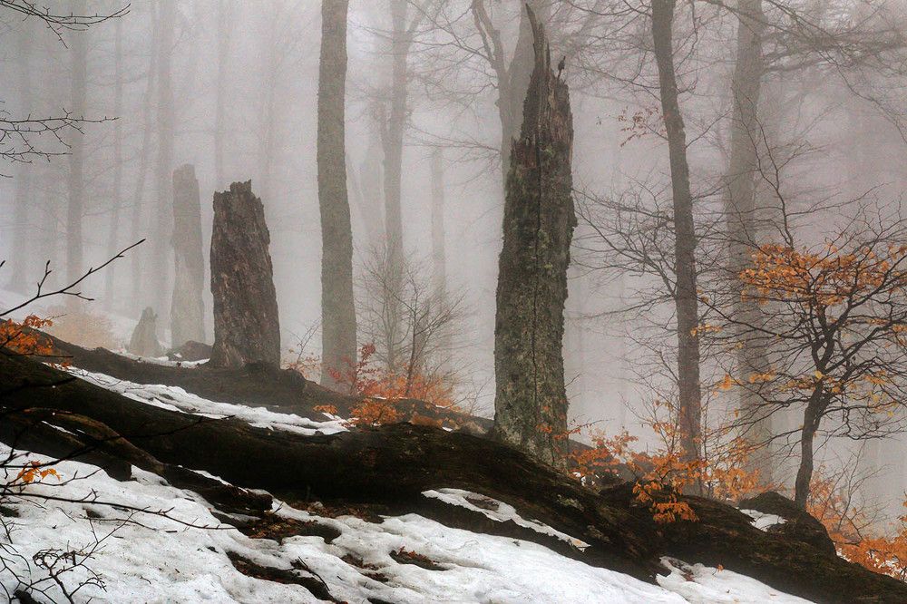 Photograph by Михаил Баевский