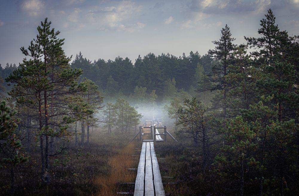 Photograph by Антон Парфентьев