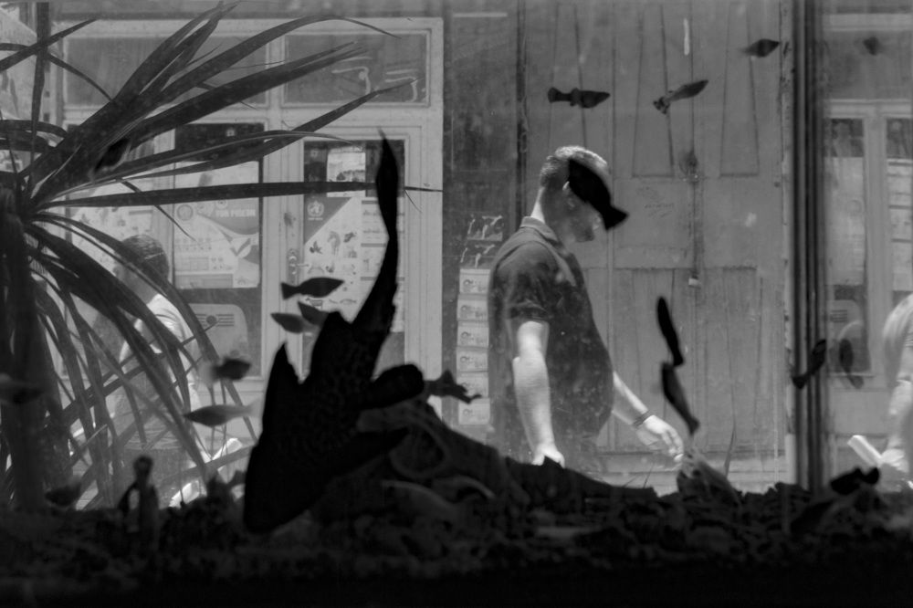 Photograph by Hasan Sajjad