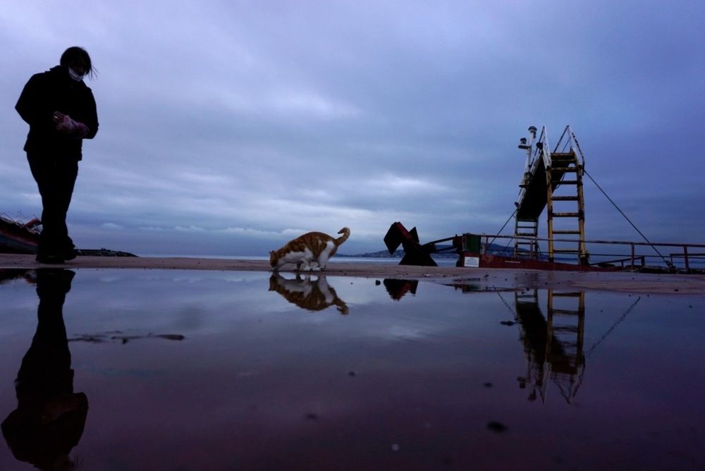 Photograph by GUNSEL SECKİNER