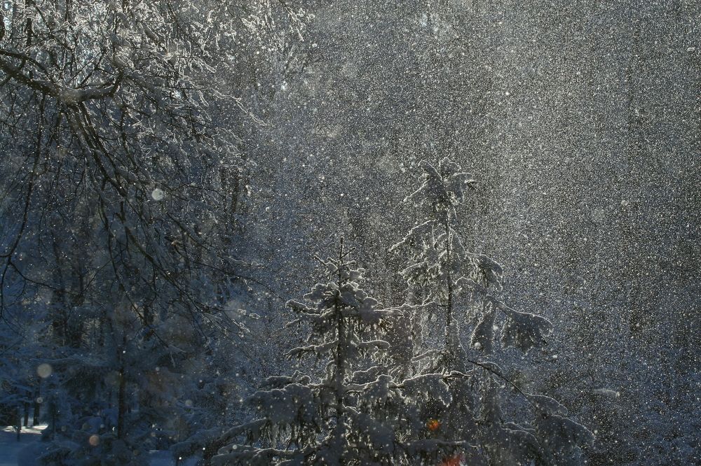 Photograph by Алик Хасанов