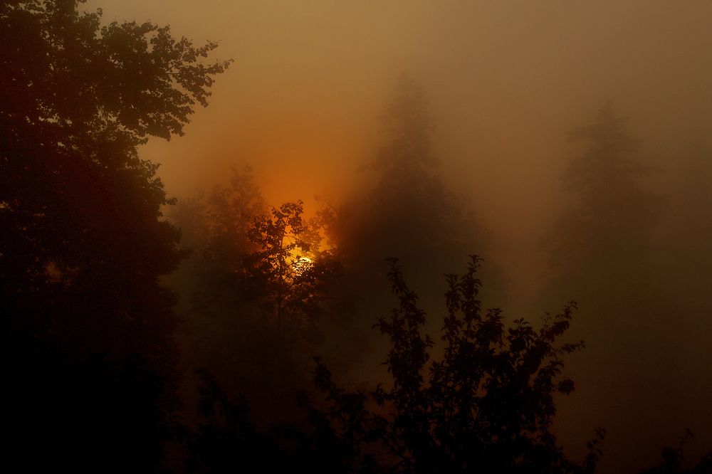 Photograph by Алик Хасанов