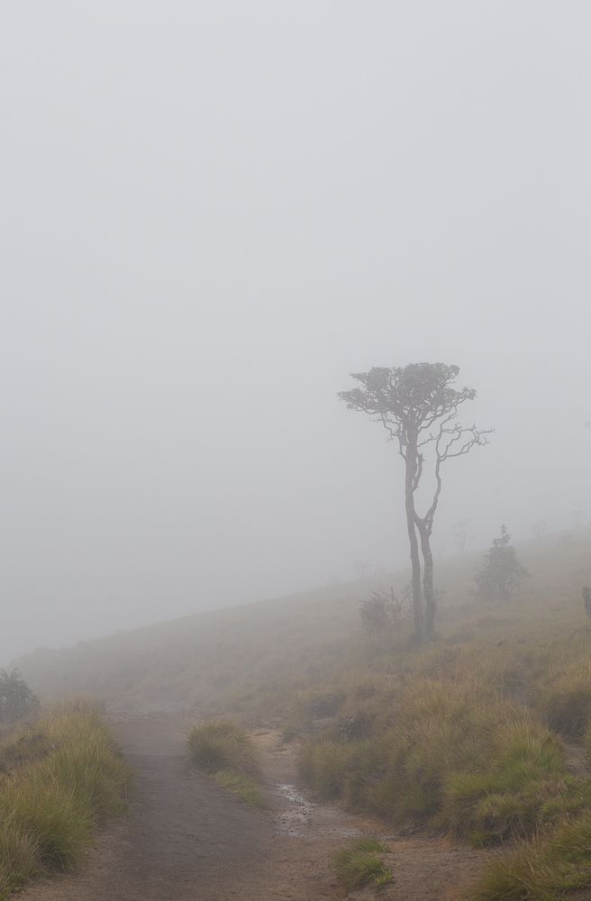 Фотография автора Sasindu Pramuditha