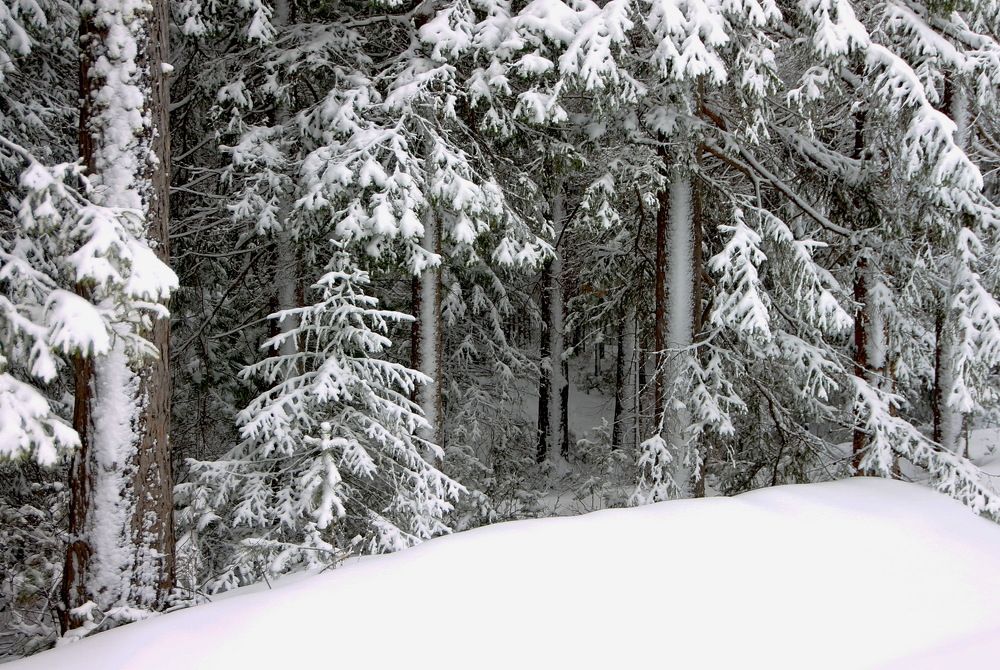 Photograph by Sergei Petrov