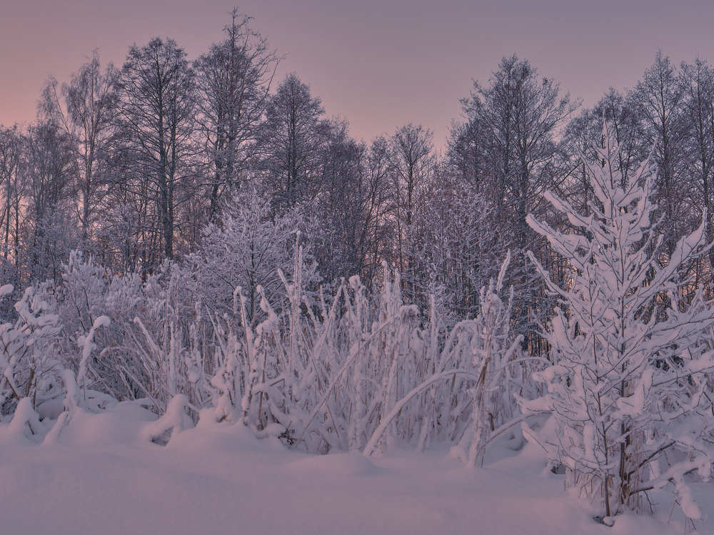 Photograph by Антон