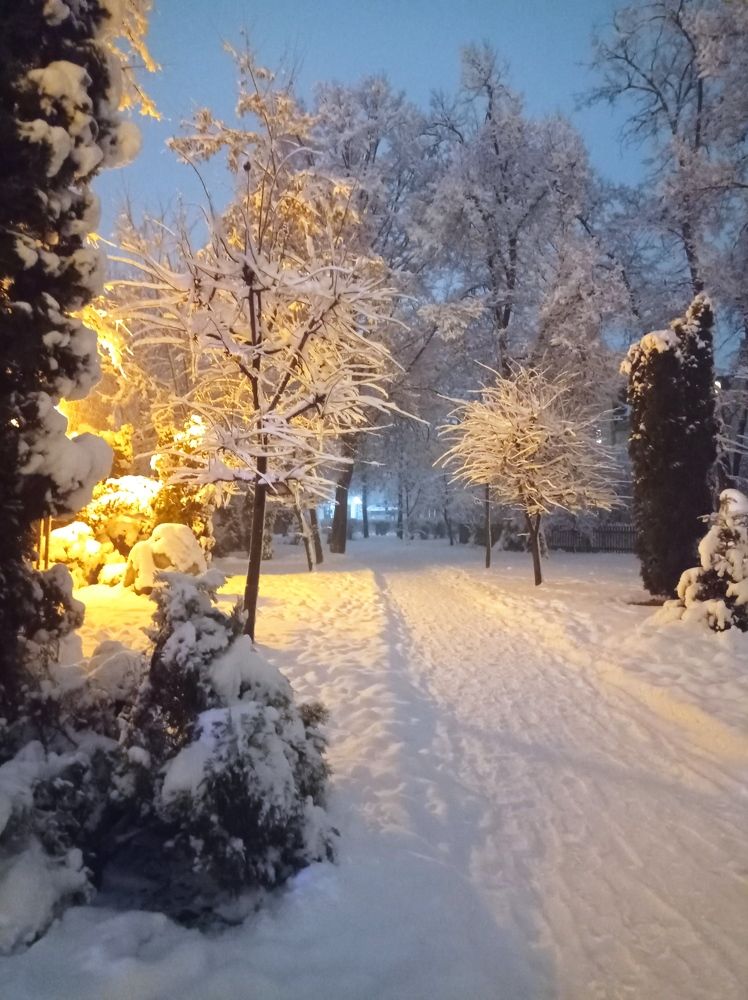 Photograph by Наталія Дронюк