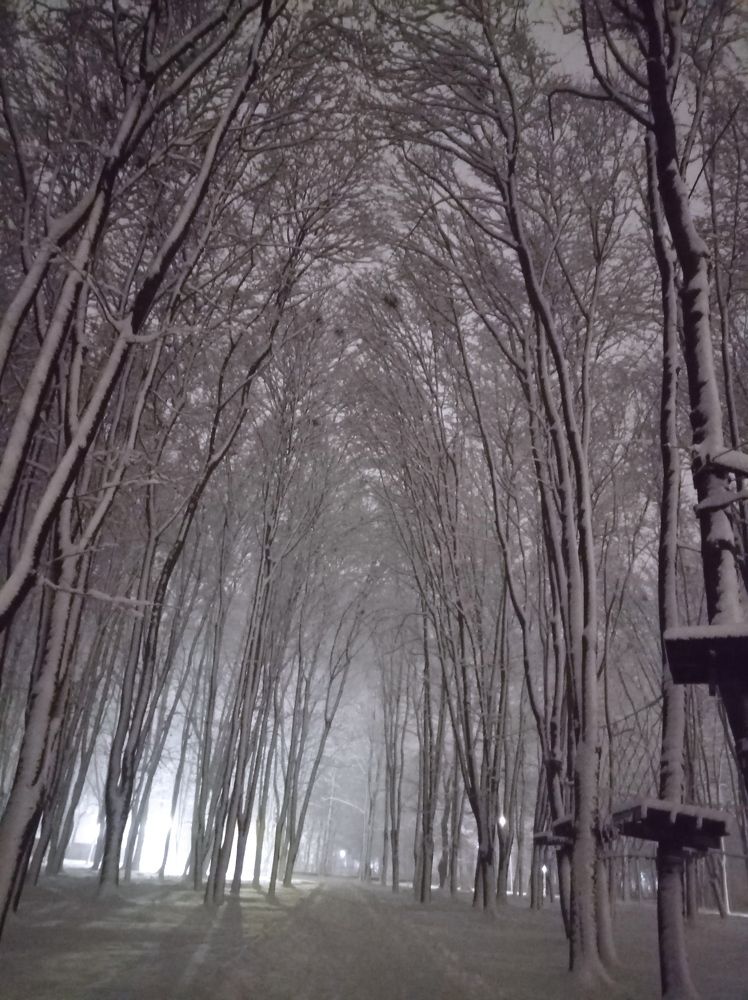 Photograph by Наталія Дронюк