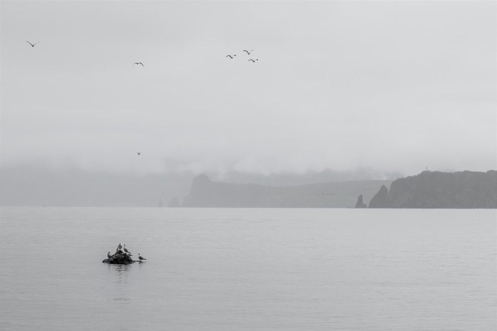 Фотография автора Мария Рохмистрова