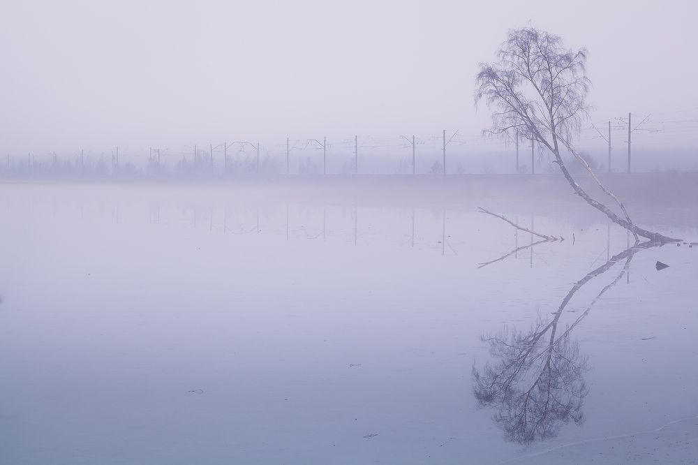 Photograph by Denis Churin