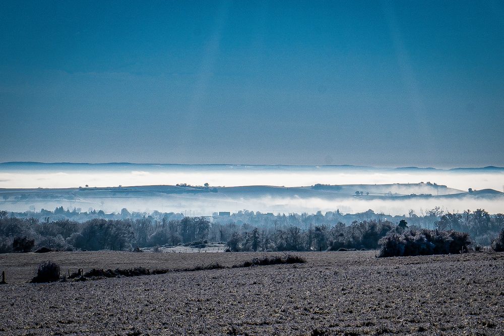 Фотография автора Patricia Machado