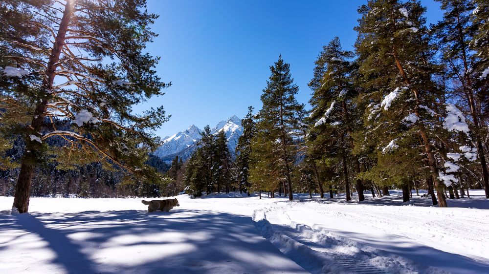 Photograph by Виталий Павлов