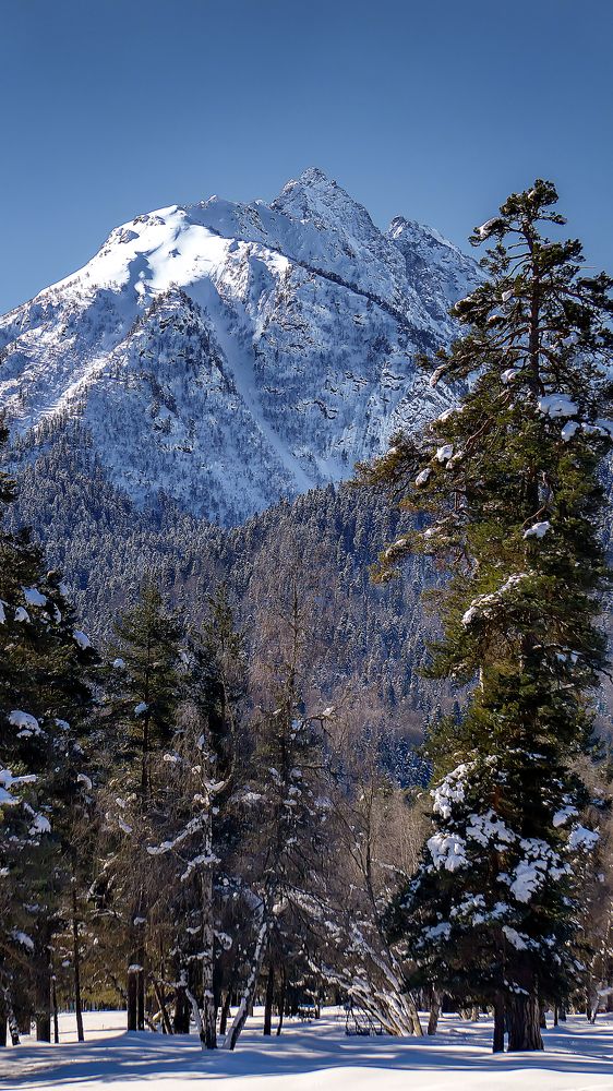 Photograph by Виталий Павлов