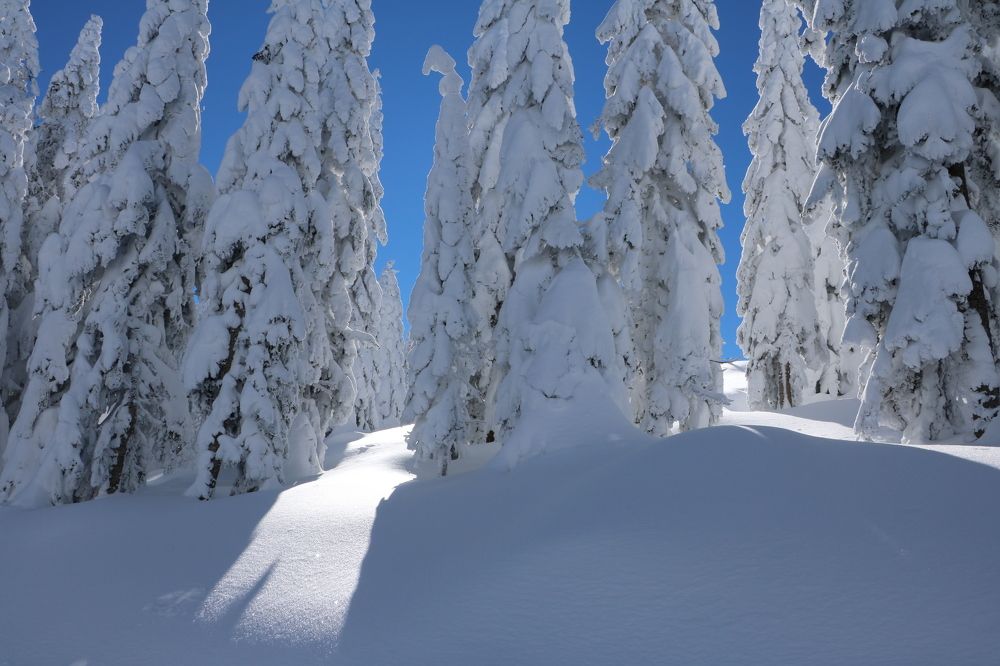 Photograph by Cengiz Yalcin