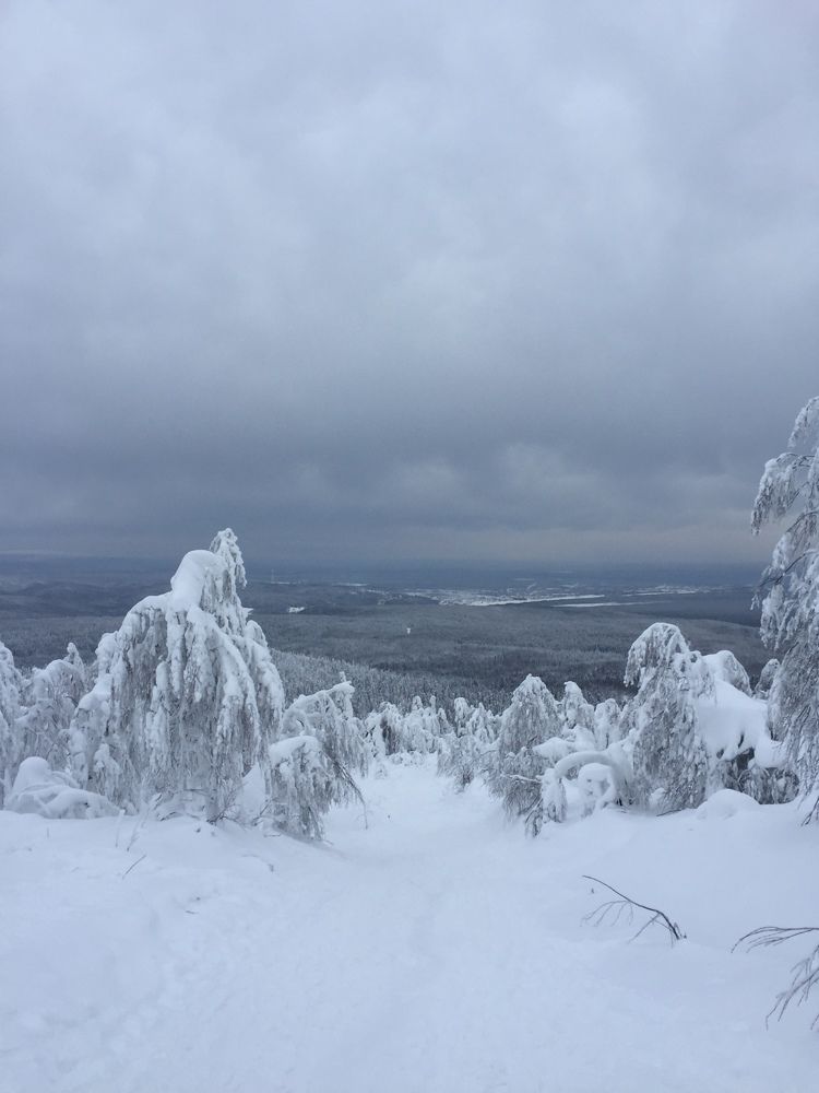 Photograph by Максим Ковригин