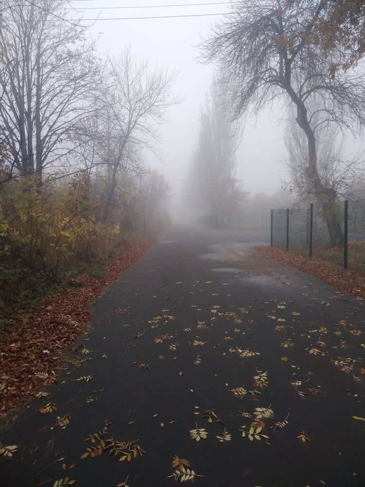 Photo #6906112
