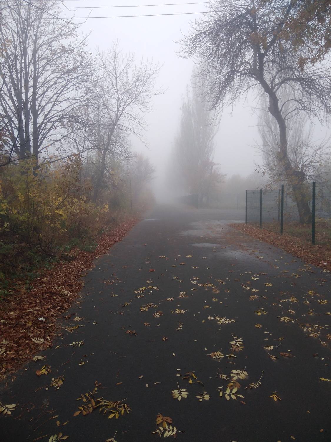 Photo #6906112