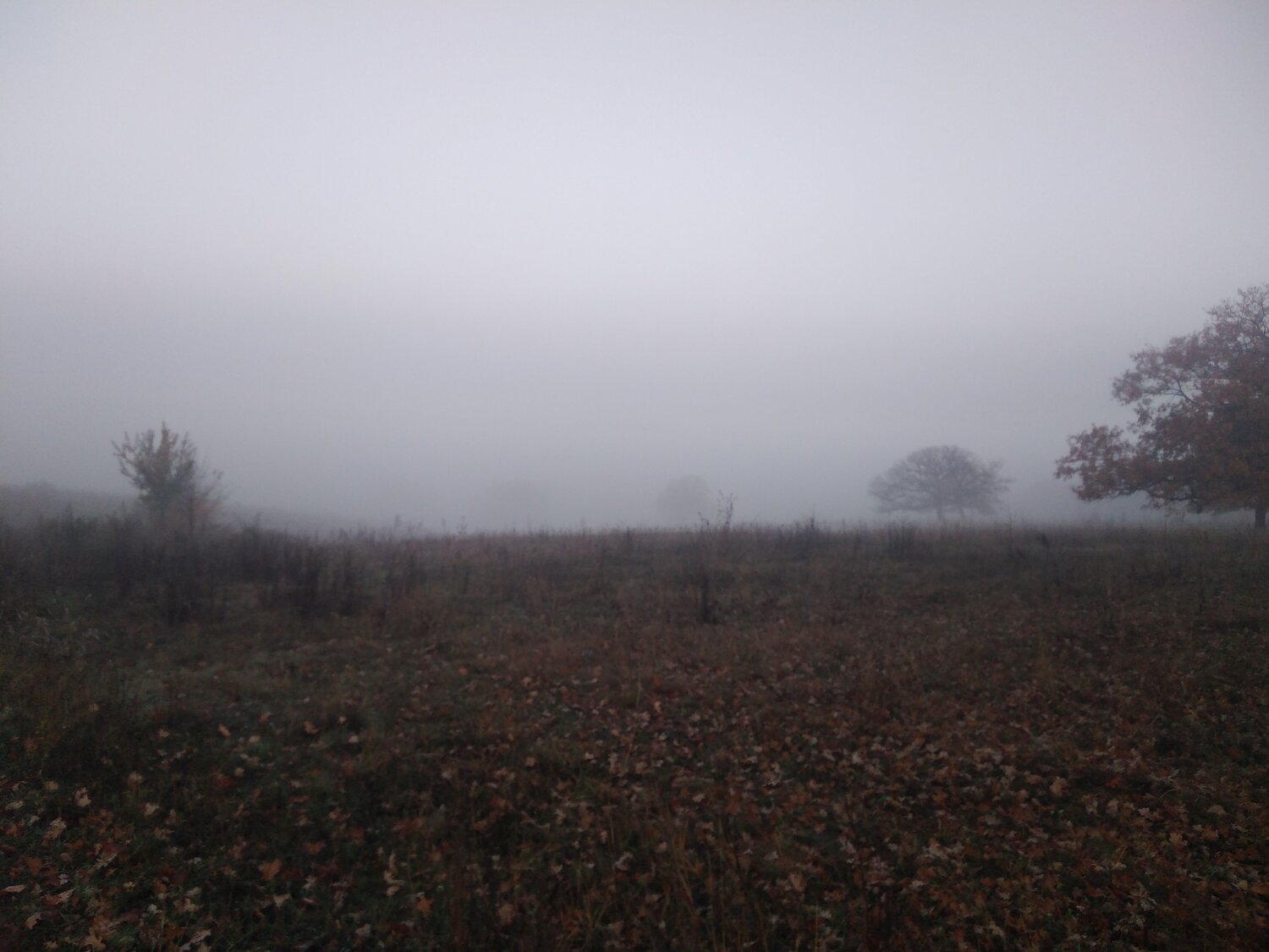 Photo #6906116