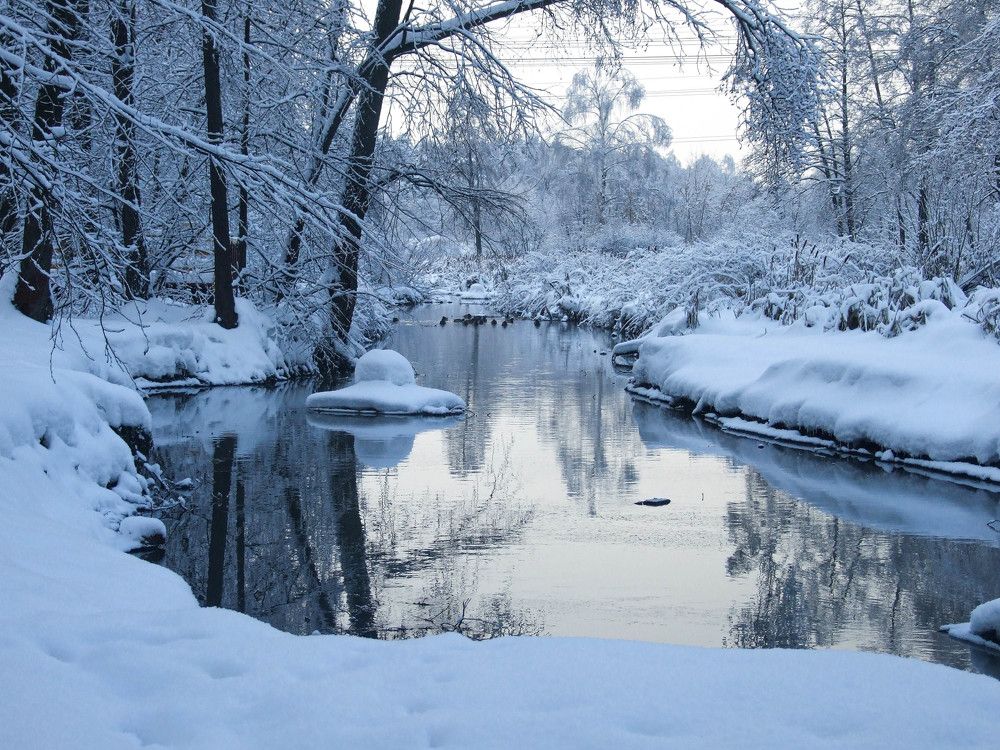 Photograph by Игорь Криулин