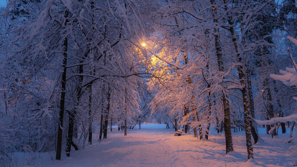 Photograph by Игорь Криулин