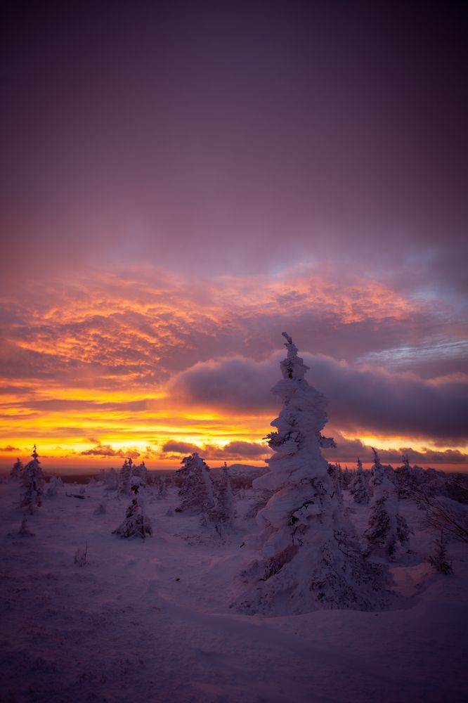 Photograph by Ирина Шпиталюк