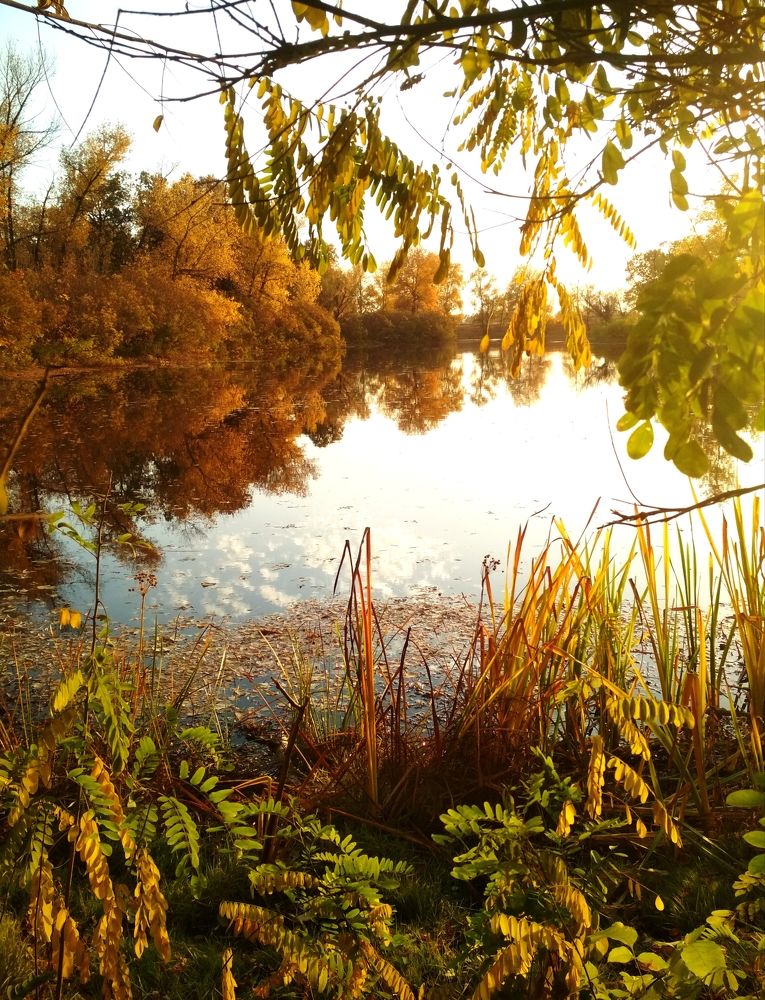 Photograph by Olga
