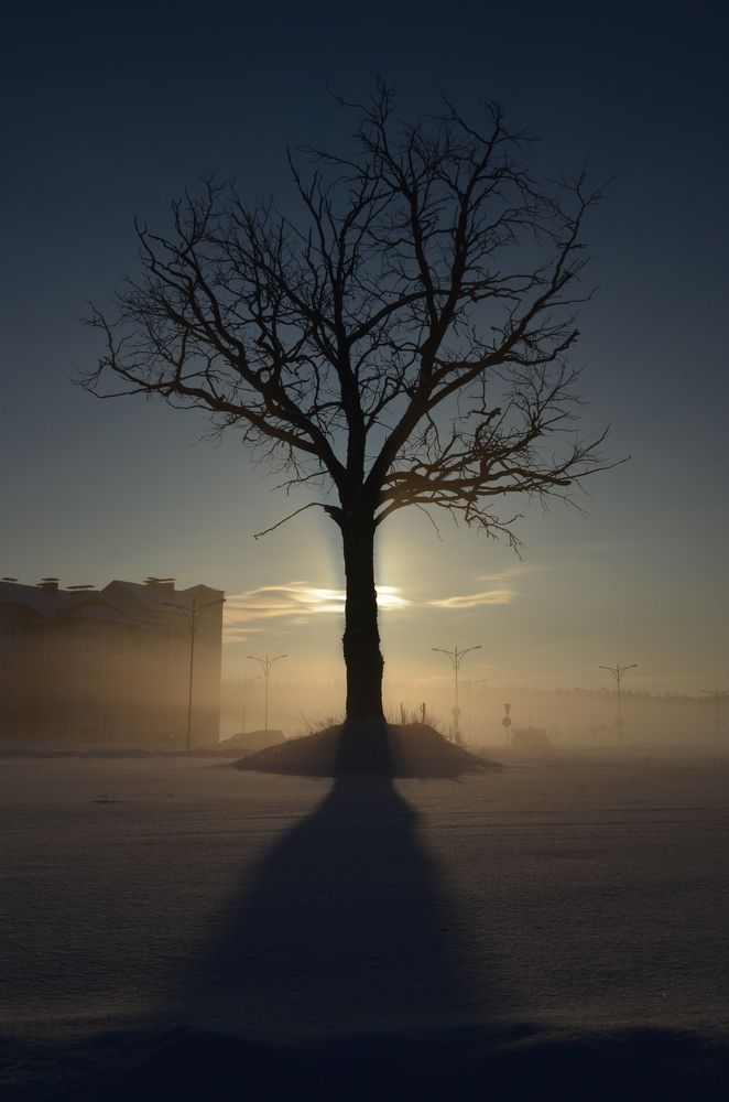 Фотография автора Никита Русецкий