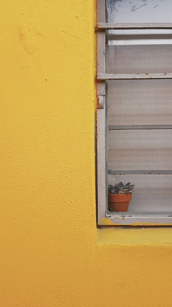 Photograph by Rita Kapitulski