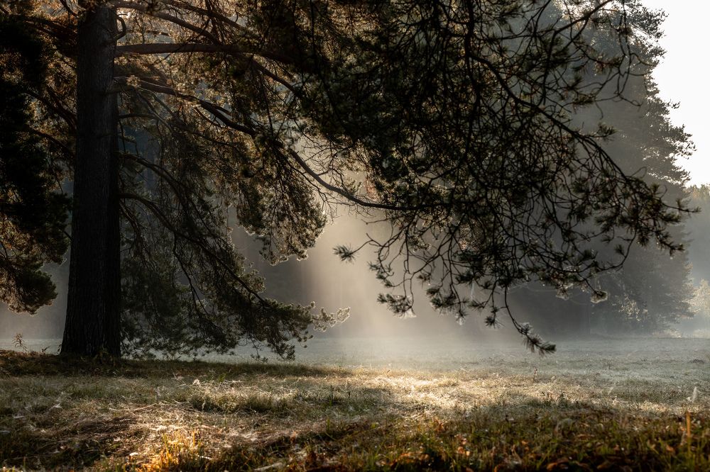 Photograph by Илья Юфа