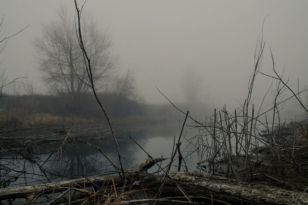 Photograph by Андрей Александрович Молотков