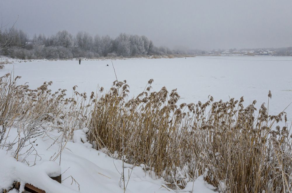 Photograph by Грашин Игорь Алексеевич