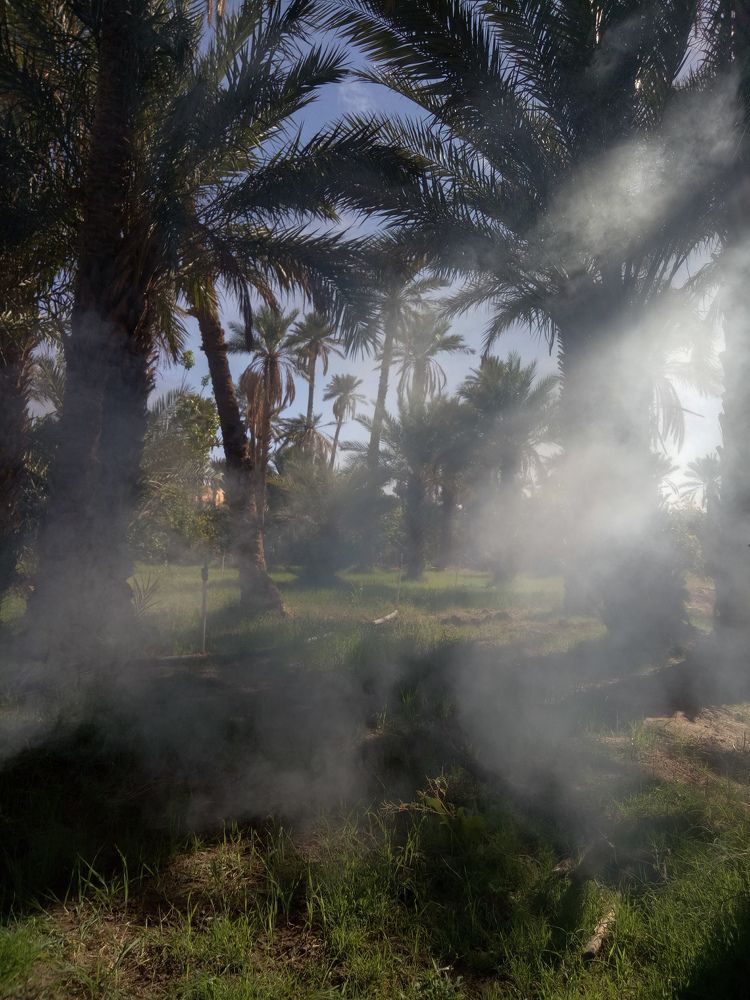 Photograph by Douila Abdelghani