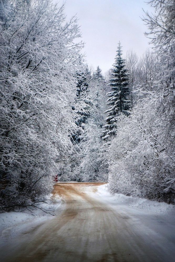 Photograph by Илья Шамин