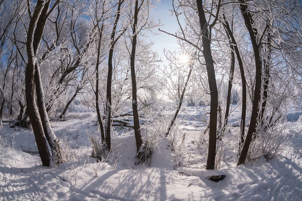 Photograph by Захаров Дмитрий