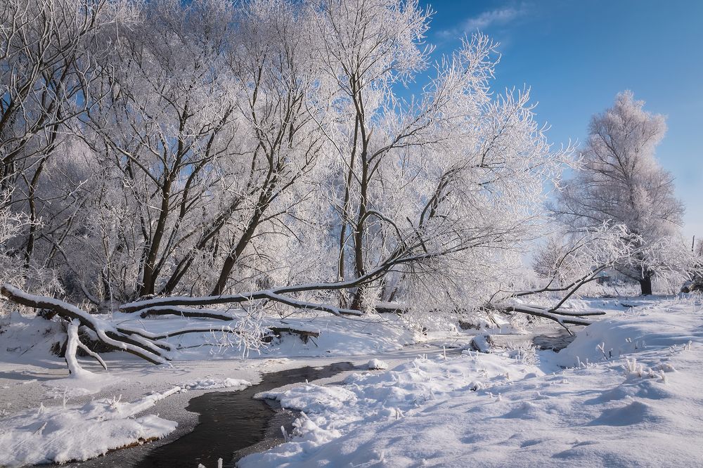 Photograph by Захаров Дмитрий