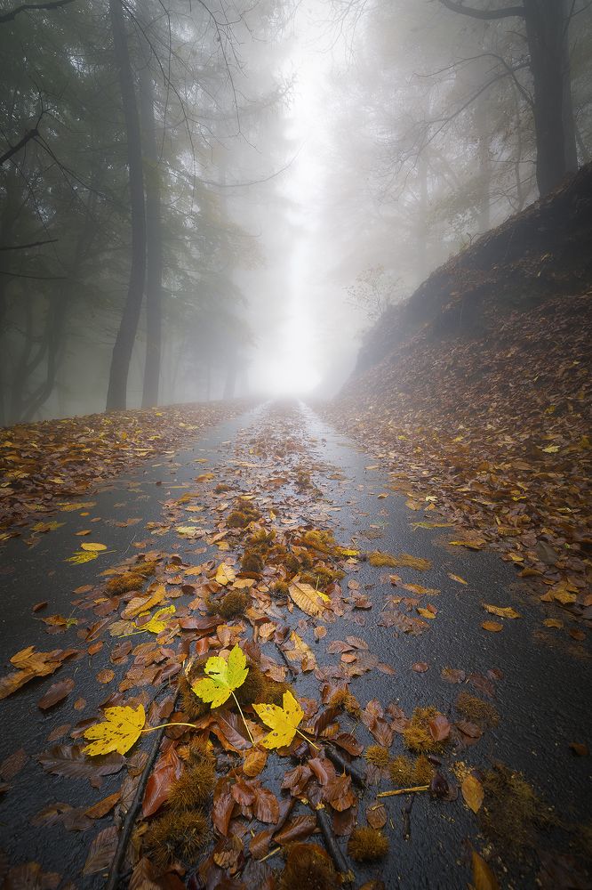 Photograph by Patrick Gerber