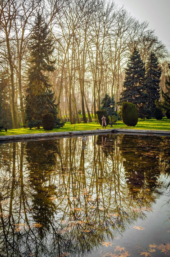 Photograph by Sahar Jafari