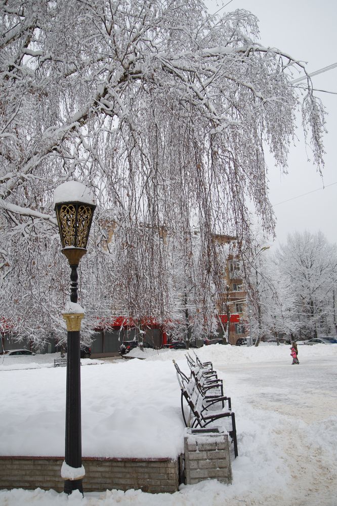 Photograph by Анжелика Простова