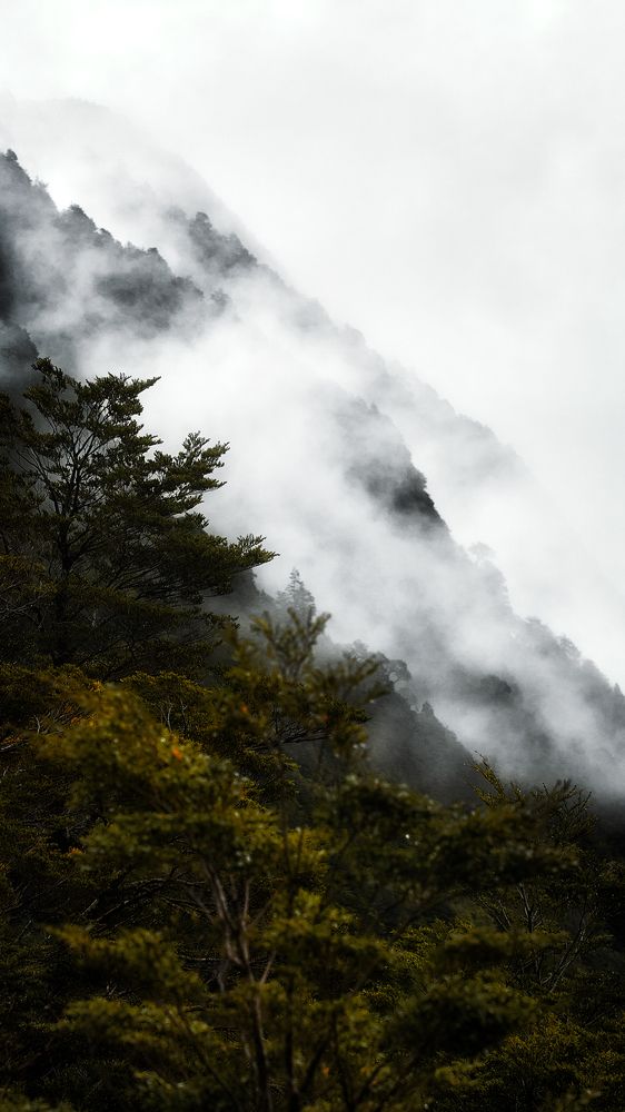 Photograph by Dennis dennisvelis